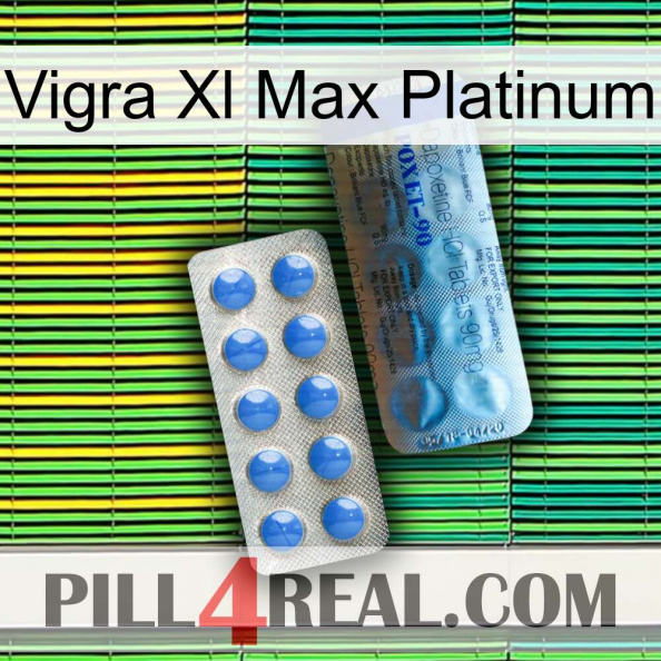 Vigra Xl Max Platinum 40.jpg